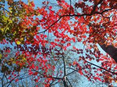 -丹东天桥沟景区