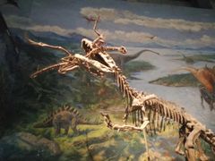 -自贡恐龙博物馆