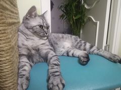 -达爱动物医院·犬猫分区·CT·复杂眼科(远洋山水分院)