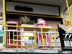 -猫咪博物馆(顶澳仔猫街店)