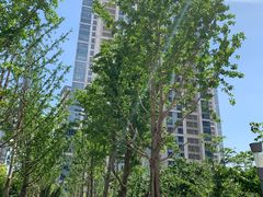 -新城控股新总部大楼