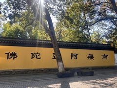 -兴福禅寺