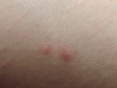 -张家港华芳金陵国际酒店