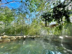 -深业半汤御泉庄温泉