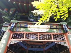 -迎泽公园
