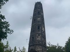 -上海佘山国家森林公园天马山园