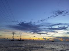 -宝安西湾红树林湿地公园