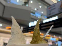 -野人先生Gelato(上海长宁龙之梦店)