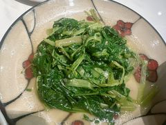 清炒鸡毛菜-三玛璐酒楼(汉口路店)