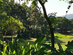 -四季酒店下午茶