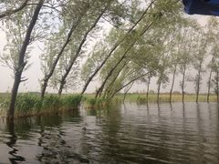 iphone_upload_pic-白洋淀景区