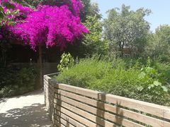 -三圣花乡旅游区