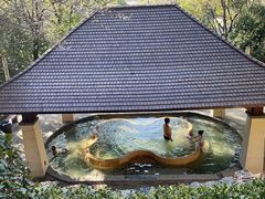 -天目湖涵田半山温泉