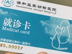 -谐和益家动物医院·免疫绝育·血液透析·宠保定点医院(高新伊藤分院)