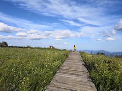 -白草畔自然风景区