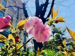 -仙岳公园