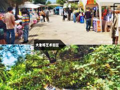 -天鹅湖体育公园
