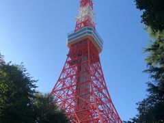 -东京塔海贼王主题公园