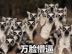 -项记面馆(明瓦廊店)
