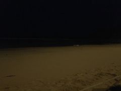 -企鹅岛