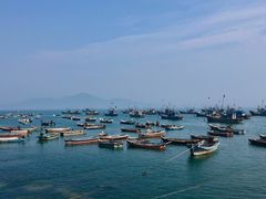 -海源公园