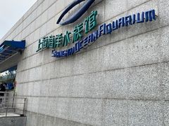 -上海海洋水族馆