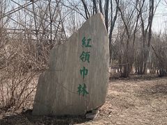 -大港湿地公园