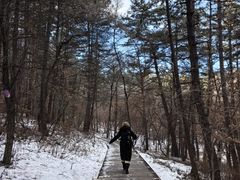 -帽儿山国家森林公园