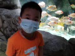 -泉城欧乐堡海洋极地世界