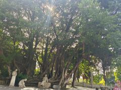 -船政文化景区-罗星塔公园