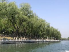 -皇家御河游(紫御湾码头)