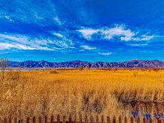 -野鸭湖国家湿地公园