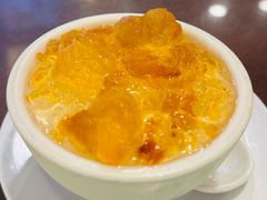 桃胶拌双皮奶-南信牛奶甜品专家