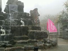 -大岭沟猕猴桃谷风景区