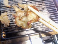 -丹东特色烤肉(南光三部店)