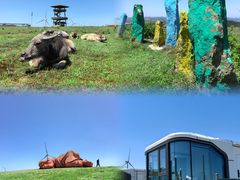 -龙里油画大草原旅游区