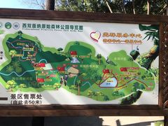 -西双版纳原始森林公园