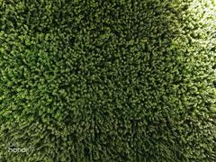 -银吉姆健身(景城邻里中心馆)