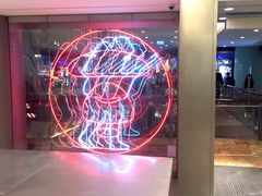 -AAPE BY A BATHING APE(朗豪坊店)