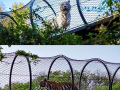 -红山森林动物园