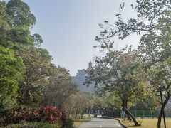 -南沙蒲洲花园