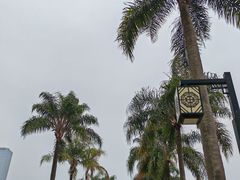 -南宁南湖公园