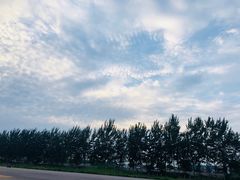 -汉长安城未央宫国家考古遗址公园