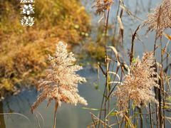 -西湖风景区-江洋畈生态公园