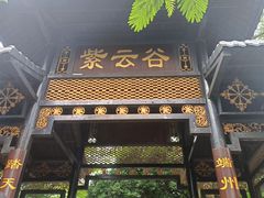 -紫云谷景区