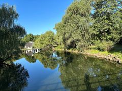 -上海共青森林公园