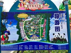 -灵玲国际马戏城