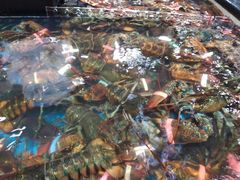 -盒马鲜生(皇庭广场店)