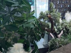 -绿茶餐厅(天津天河城店)