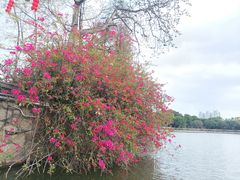 -东山湖公园